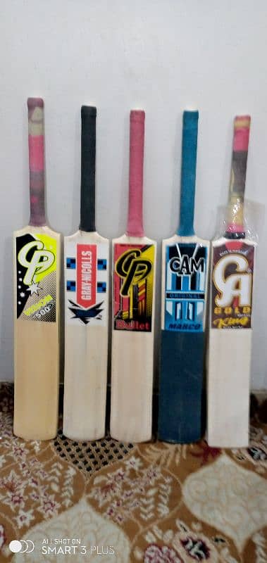 cricket bat 1