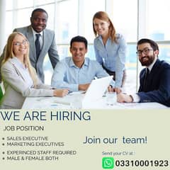 Sales Executive