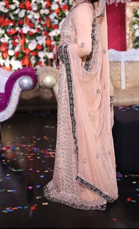 Walima Maxi 1