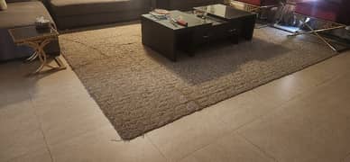 plain wall to wall carpet ,good qyality,