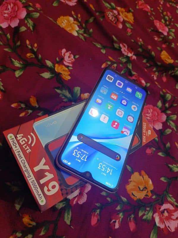 Vivo Y19 8/256 Full Box Complete Accessories Home Use 4