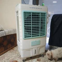 room cooler