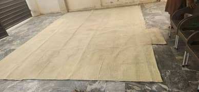 plain high quality carpet, beige color