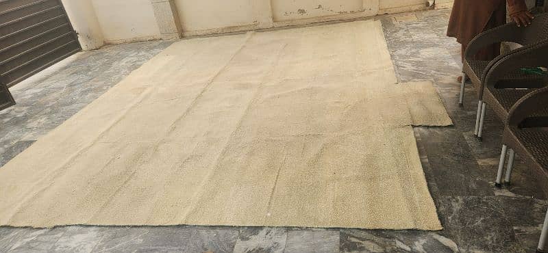 plain high quality carpet, beige color 2