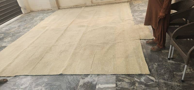 plain high quality carpet, beige color 3