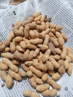 moong phalli (peanut) for sale