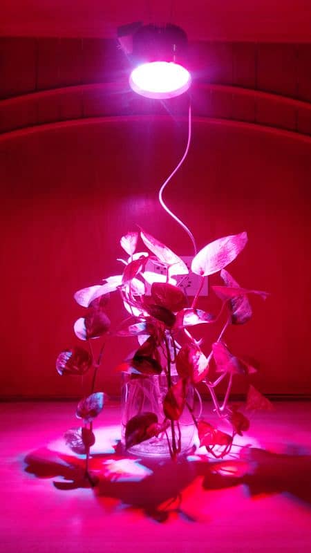 Grow Led Uv Light Full Spectrum , For indoor / out door  farming . 1