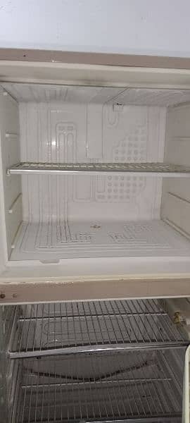 Fridge 5