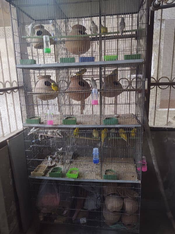 12 portion cage pinjra for birds budgies fishers chicks finches 0