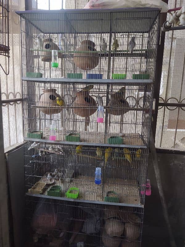 12 portion cage pinjra for birds budgies fishers chicks finches 1