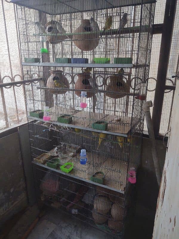 12 portion cage pinjra for birds budgies fishers chicks finches 2