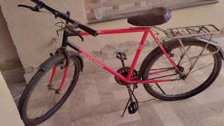 Bicycle for sale