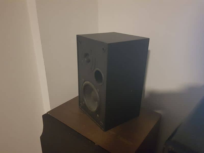 Rotel RL 810 Monitors 2