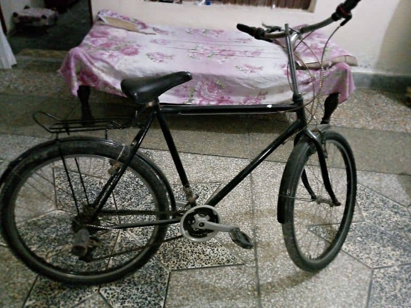 Gairy Bicycle 0