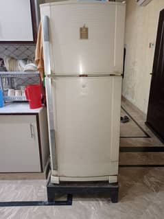 Dawlance medium size fridge