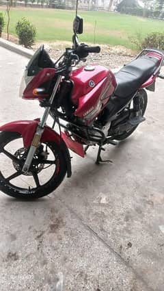 ybr125