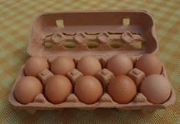 Desi Eggs Available