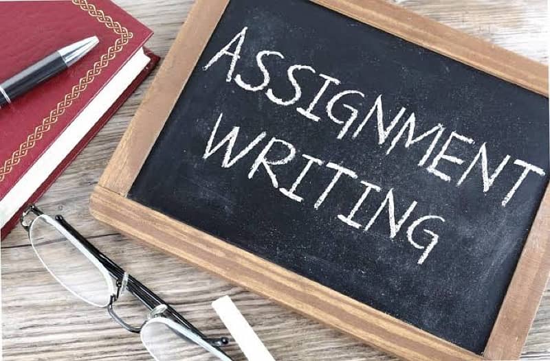 Assignment writing services 0