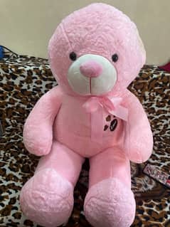 Pink Teddy