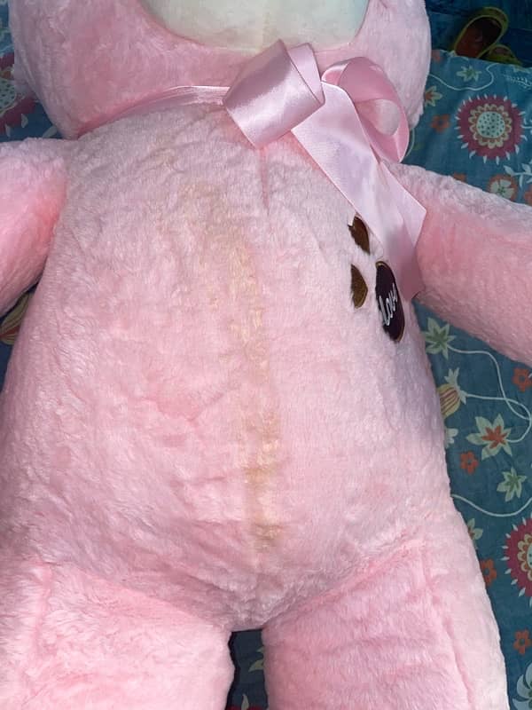 Pink Teddy 3