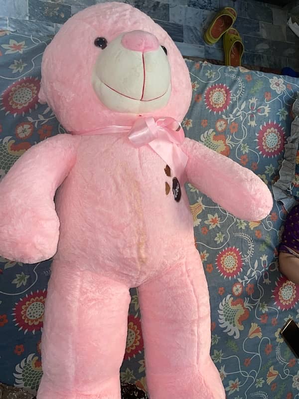 Pink Teddy 4