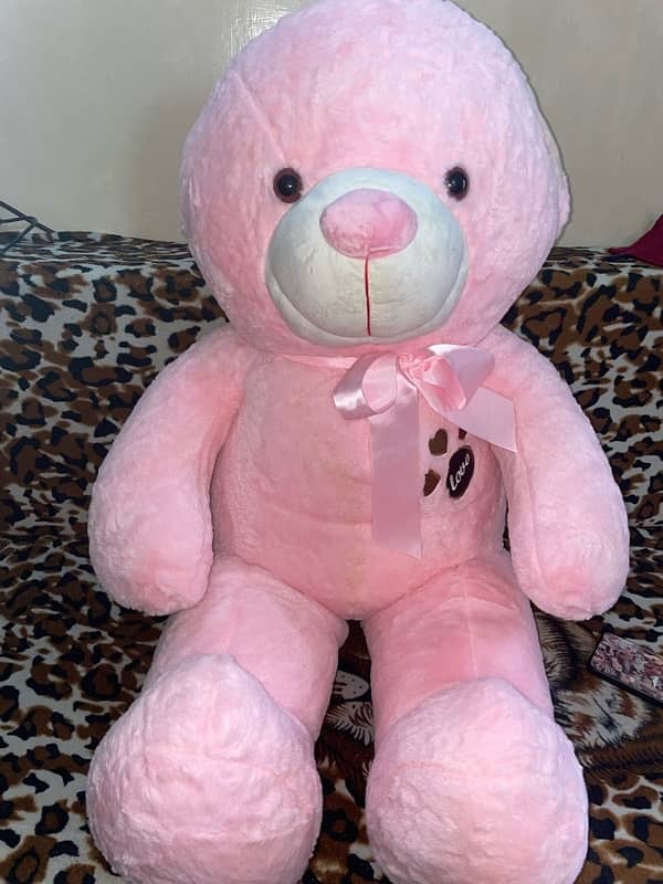 Pink Teddy 5