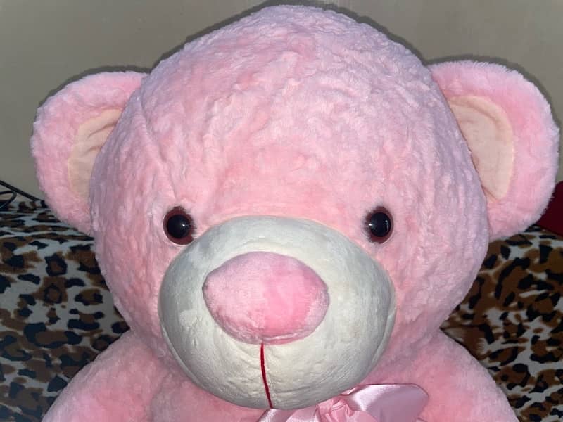 Pink Teddy 6