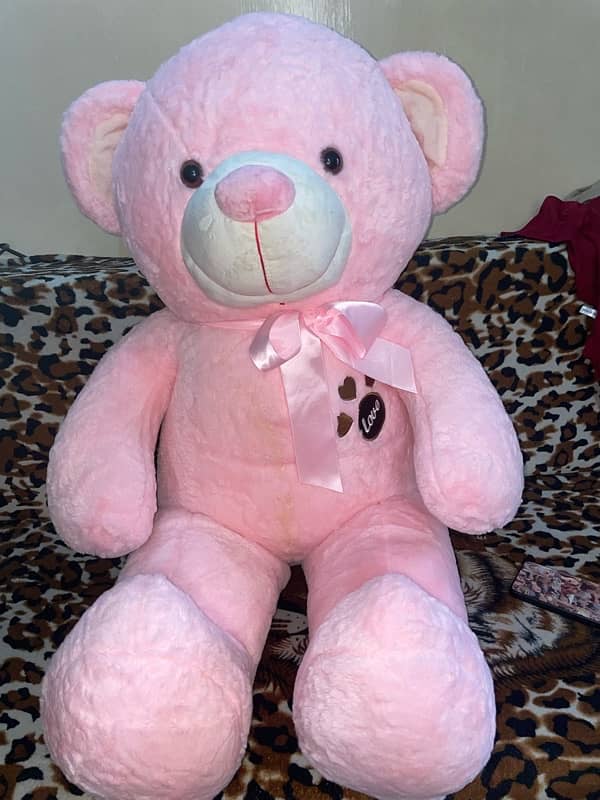 Pink Teddy 7