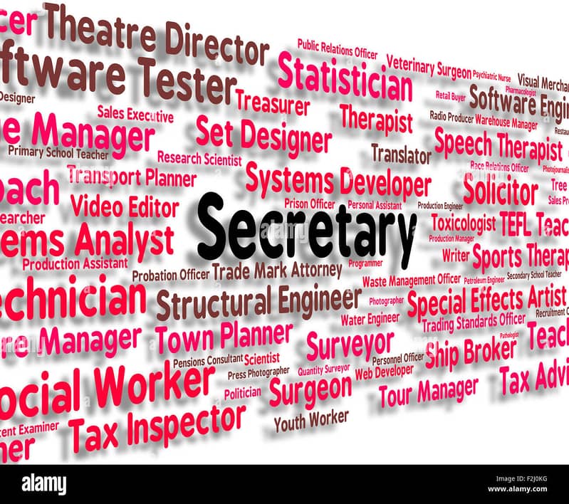 Female Secretary to CEO Required 0