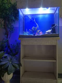 fish aquarium | fish aquarium with all equipments | neat condition