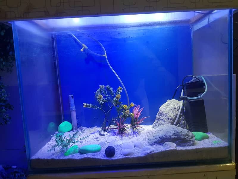 fish aquarium | fish aquarium with all equipments | neat condition 1