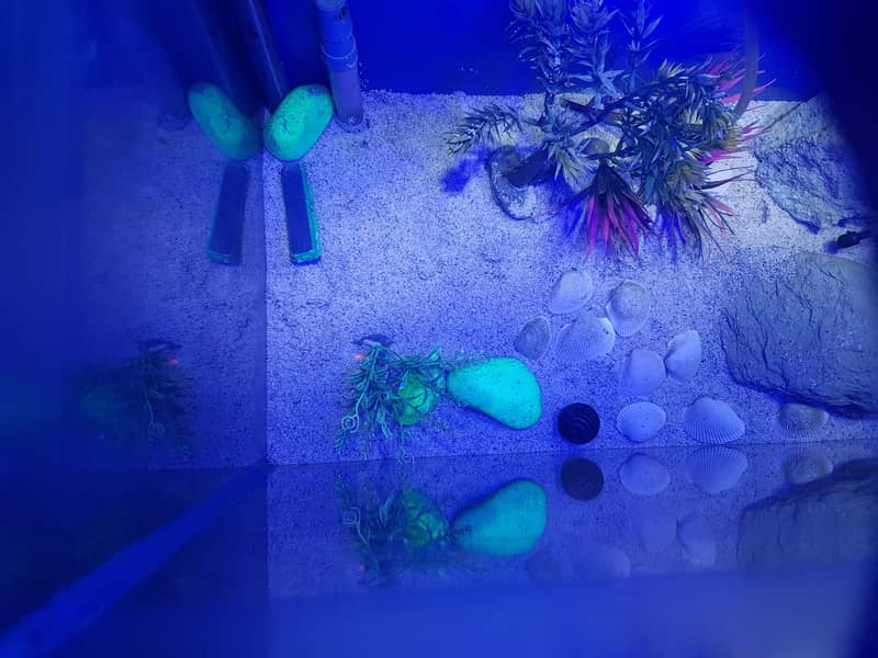 fish aquarium | fish aquarium with all equipments | neat condition 4