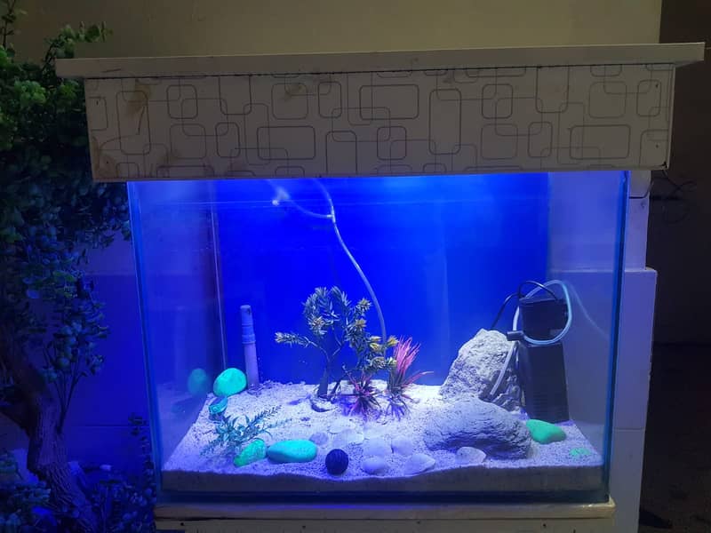 fish aquarium | fish aquarium with all equipments | neat condition 5