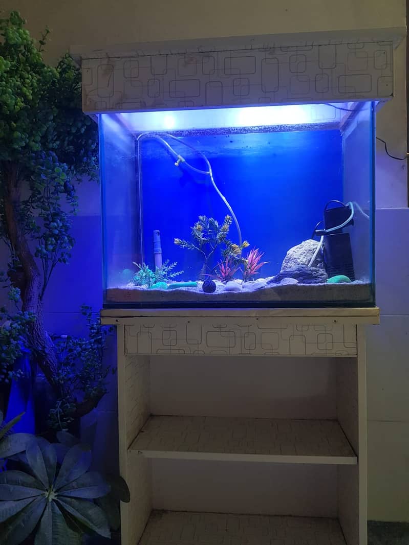 fish aquarium | fish aquarium with all equipments | neat condition 6