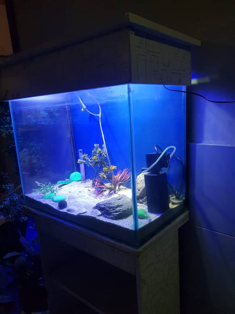 fish aquarium | fish aquarium with all equipments | neat condition 7