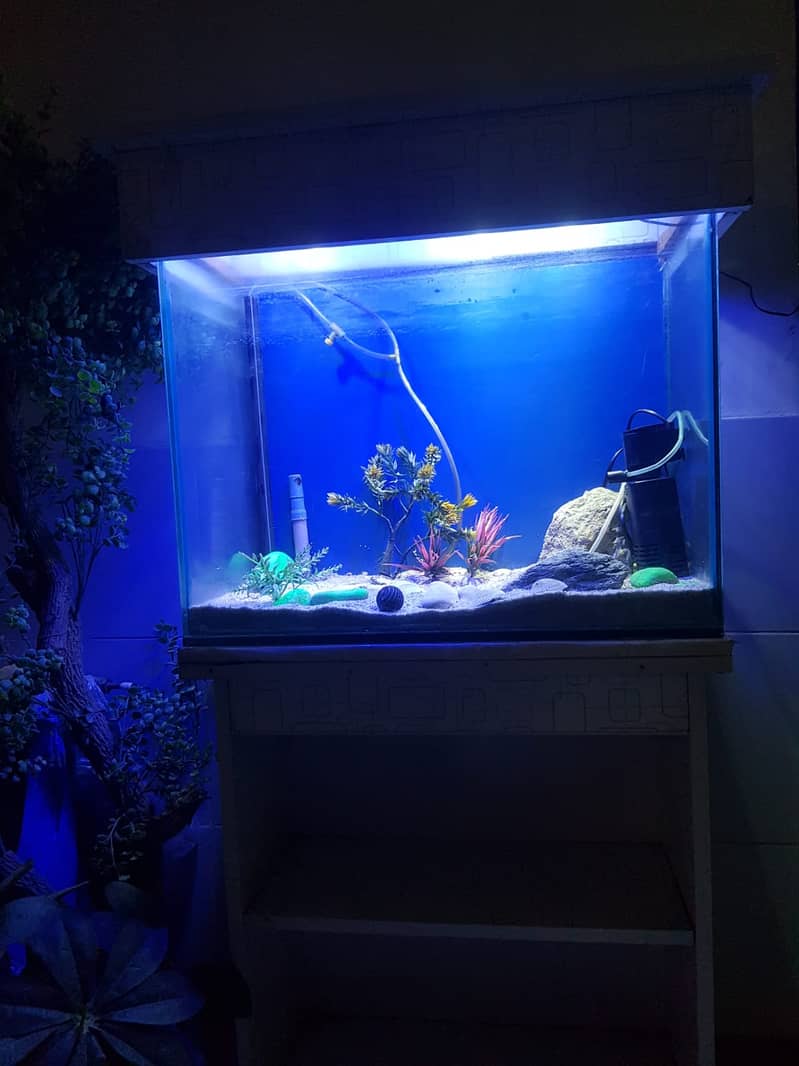 fish aquarium | fish aquarium with all equipments | neat condition 8