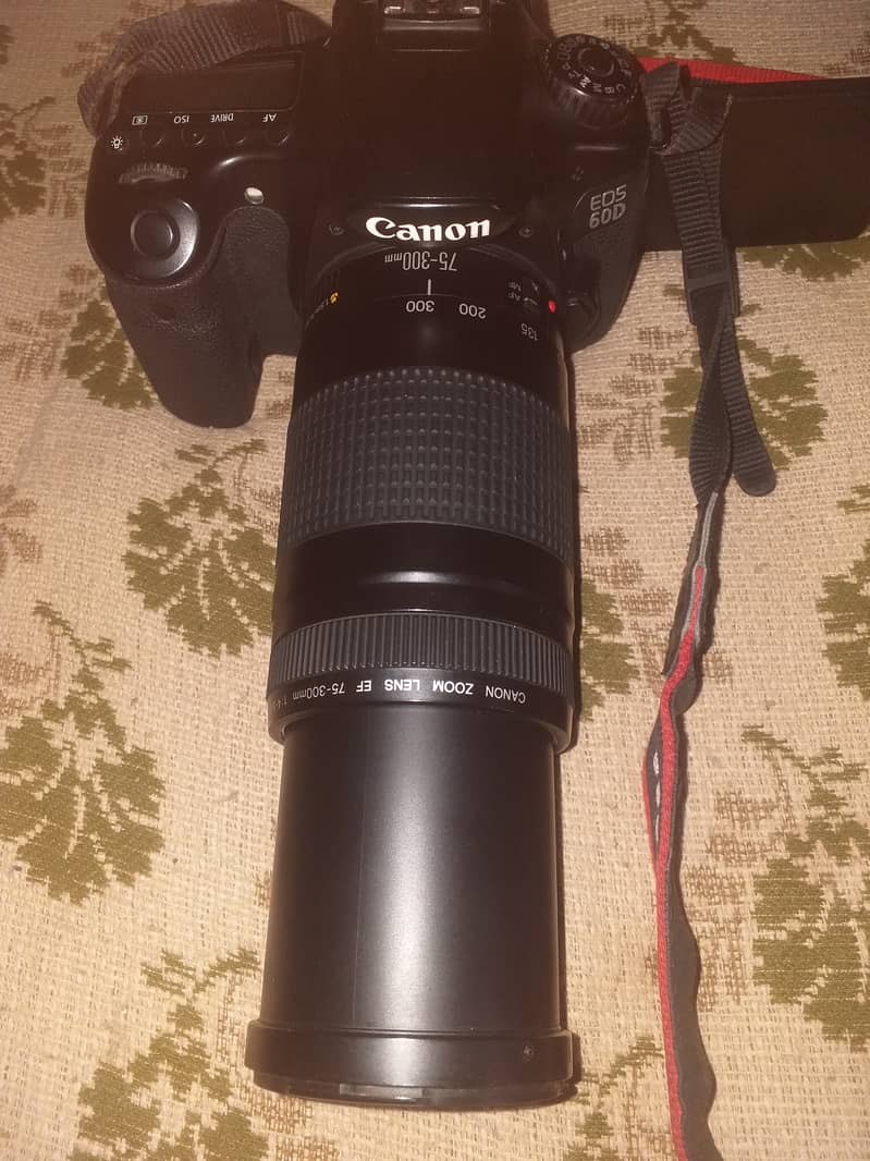 Canon 60D Dslr with 75 300 lens 4