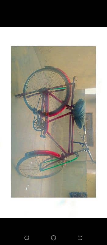 Baba cycle for sale 1