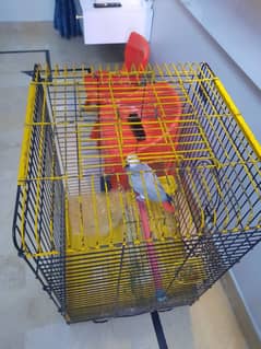 cage  with out parrot