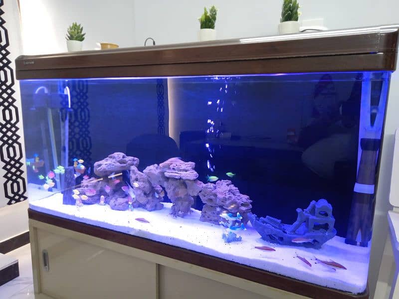 aquarium for sale 1