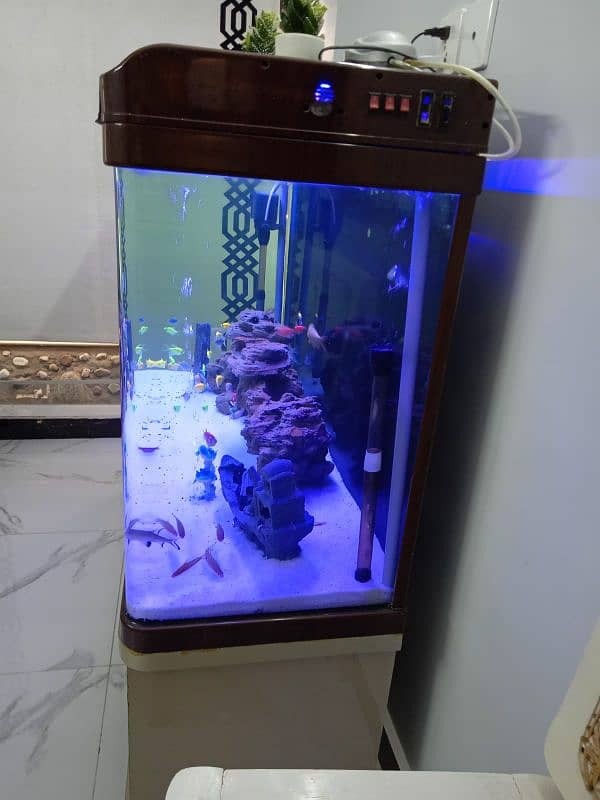 aquarium for sale 5