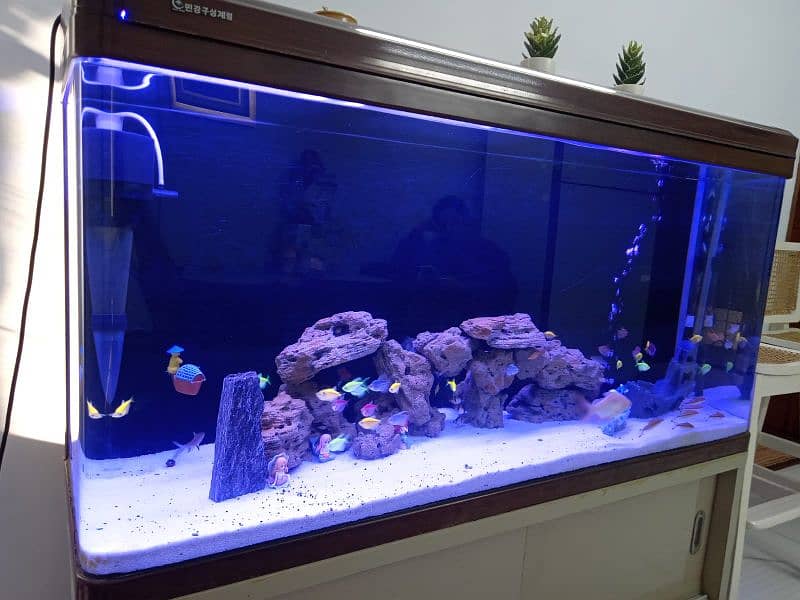 aquarium for sale 6