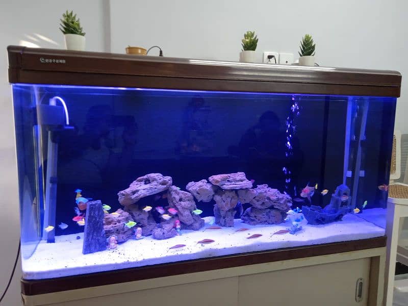 aquarium for sale 7