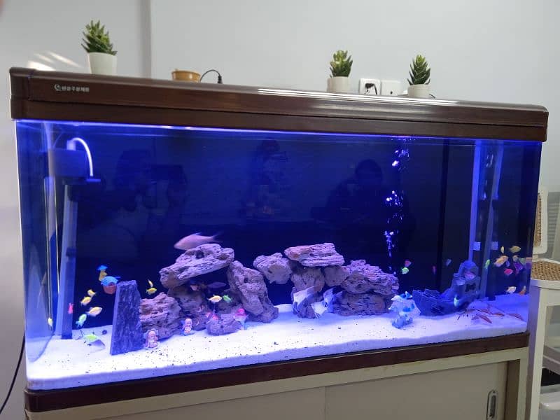 aquarium for sale 13