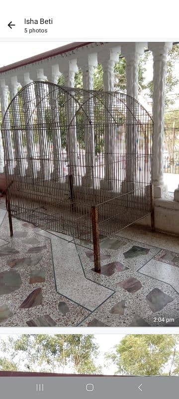 hen and bird cage and bird incubator 5