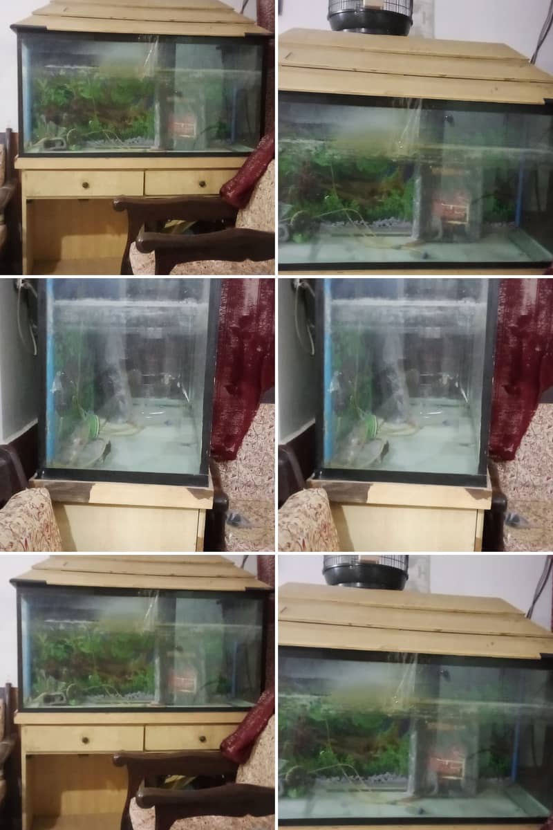 Aquarium for sale with accessories and imported stones 0