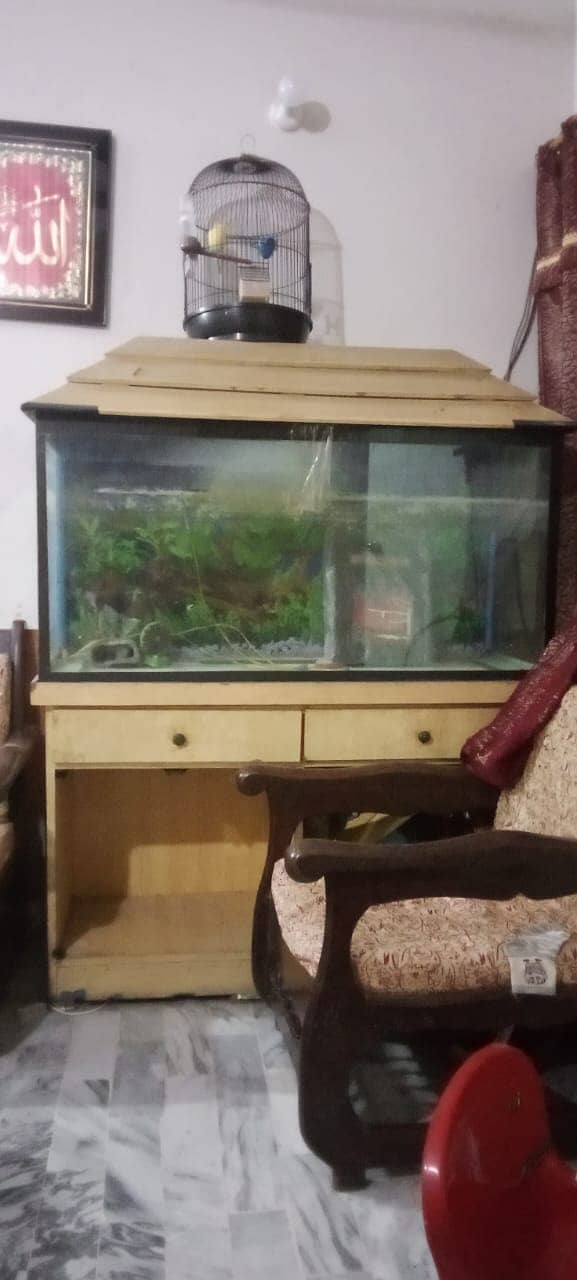 Aquarium for sale with accessories and imported stones 1