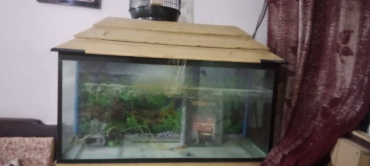 Aquarium for sale with accessories and imported stones 2