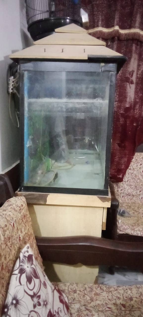 Aquarium for sale with accessories and imported stones 3