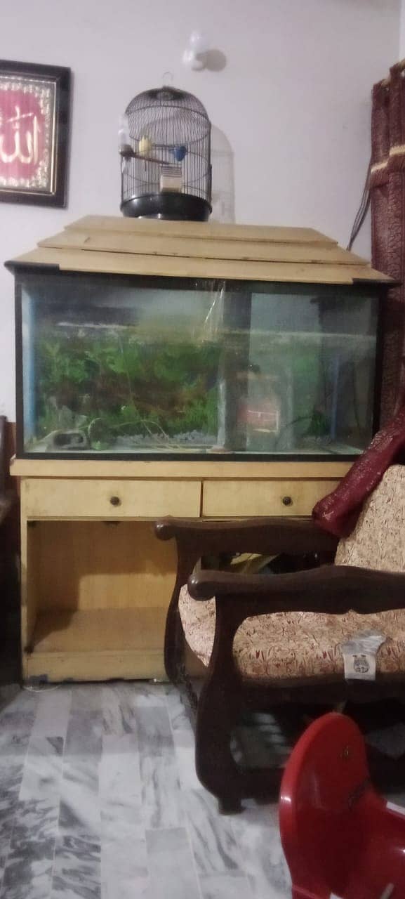 Aquarium for sale with accessories and imported stones 4